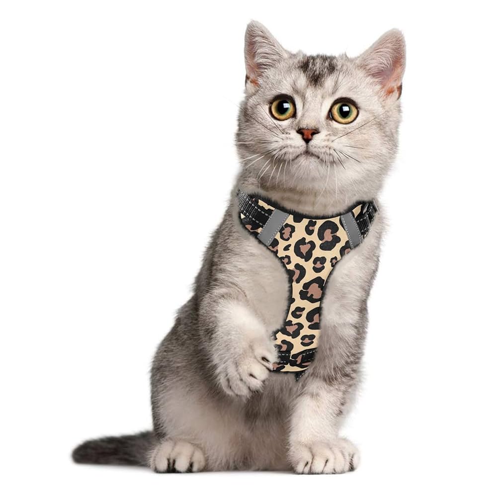 Found My Animal　Dog&Cat　ハーネス　MOODRING　XS Found My Animal Dog&Cat ハーネス MOODRING XS